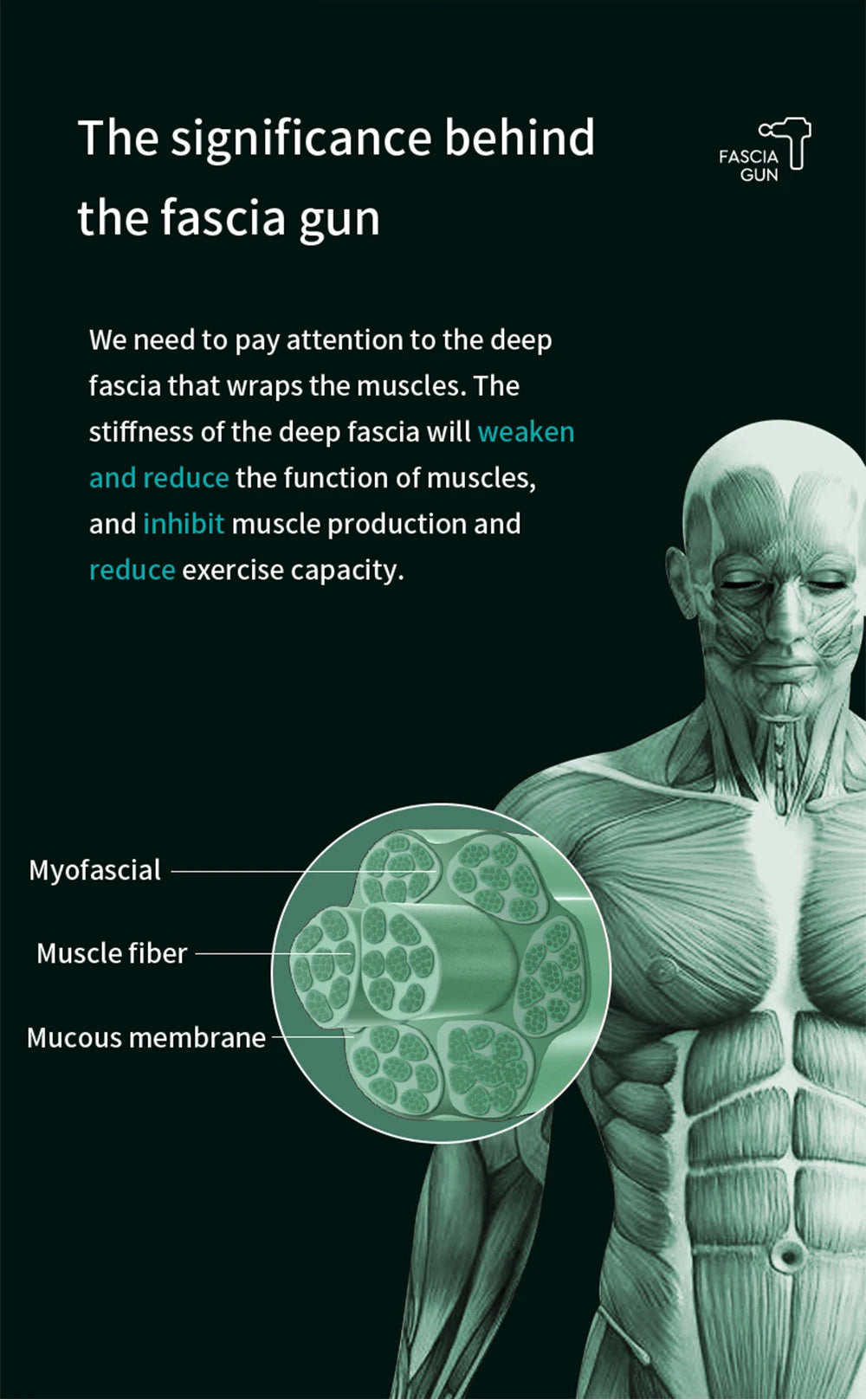 Pistola de Masaje Profesional PAQIN™ 99 Velocidades – Relajación Muscular y Terapia Profunda